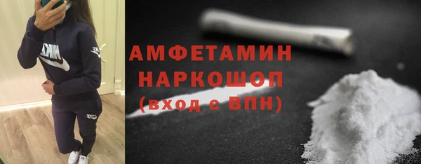 амф Вяземский