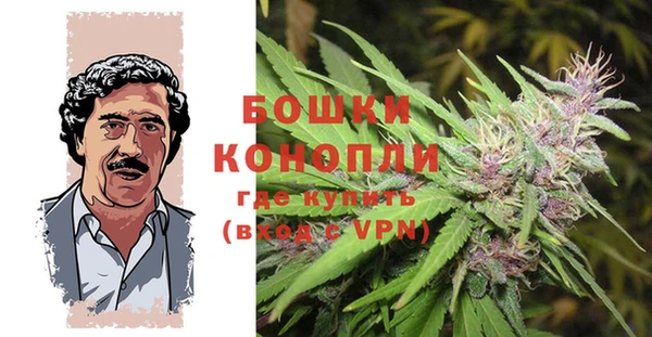 амф Вяземский