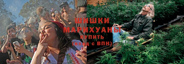 амф Вяземский