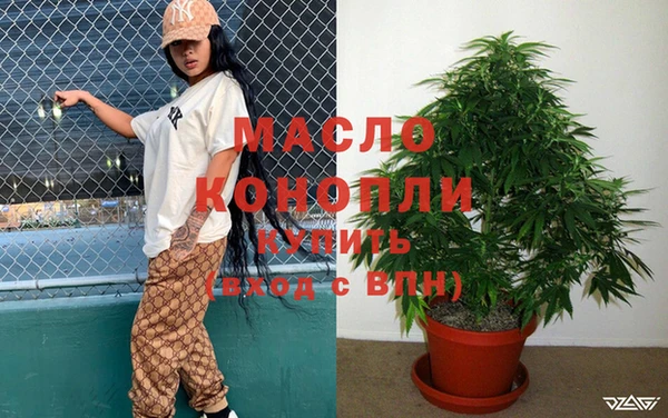 амф Вяземский