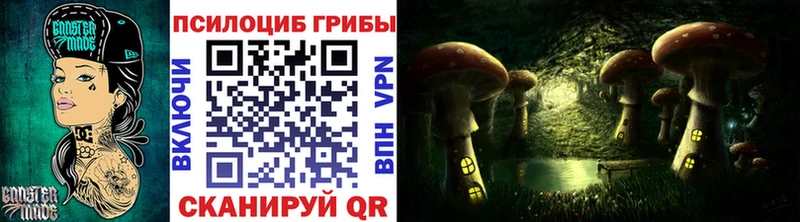 ссылка на мегу маркетплейс  купить  сайты  Одинцово  Псилоцибиновые грибы Psilocybe 